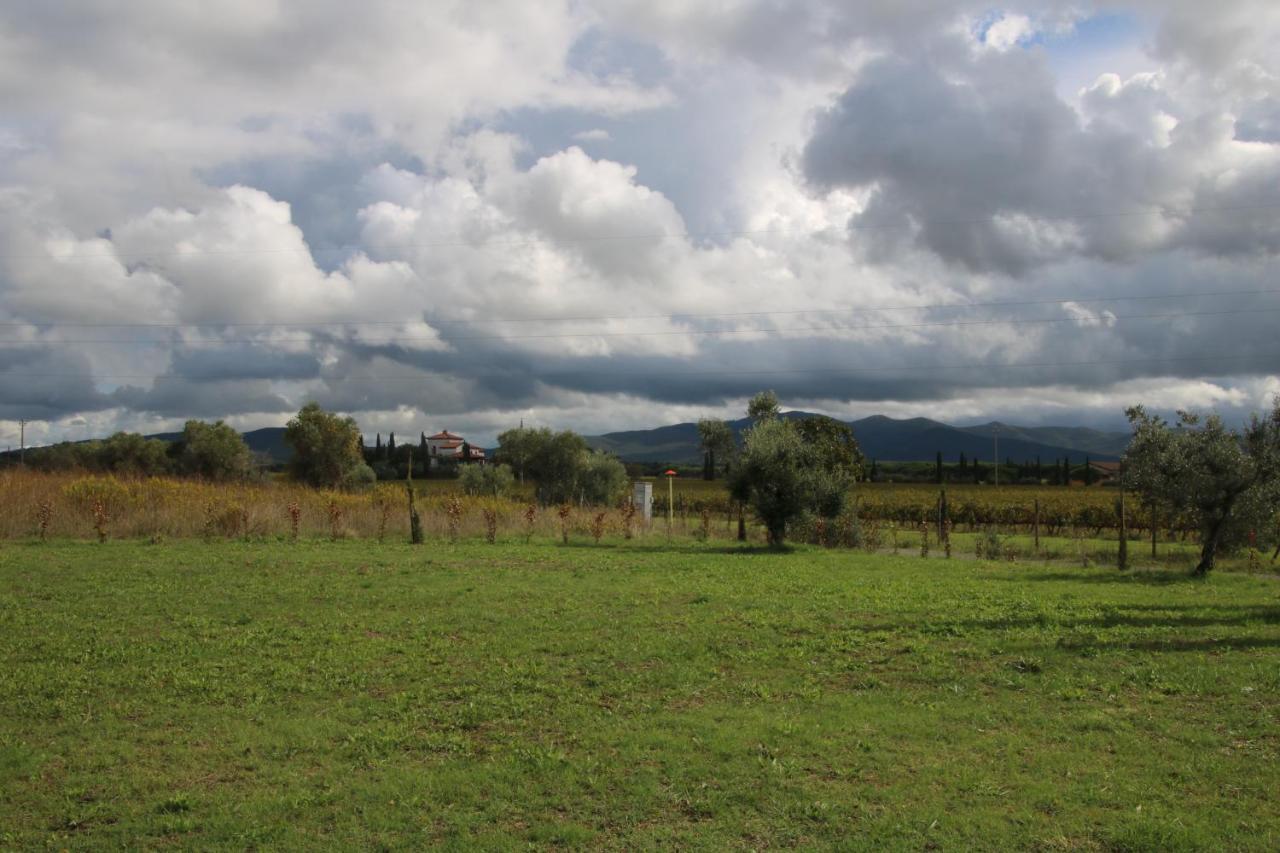 Podere Campo alle Serpi Bibbona Eksteriør bilde