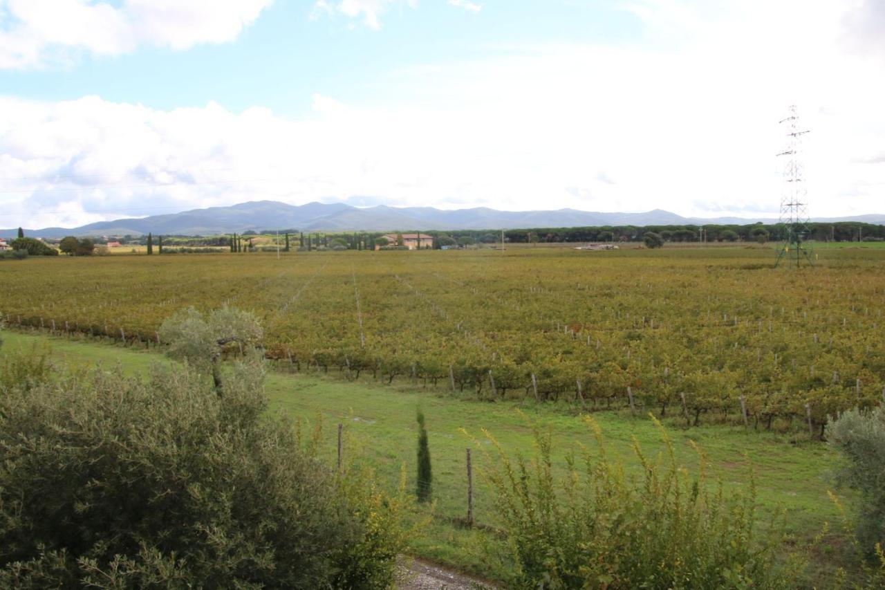 Podere Campo alle Serpi Bibbona Eksteriør bilde