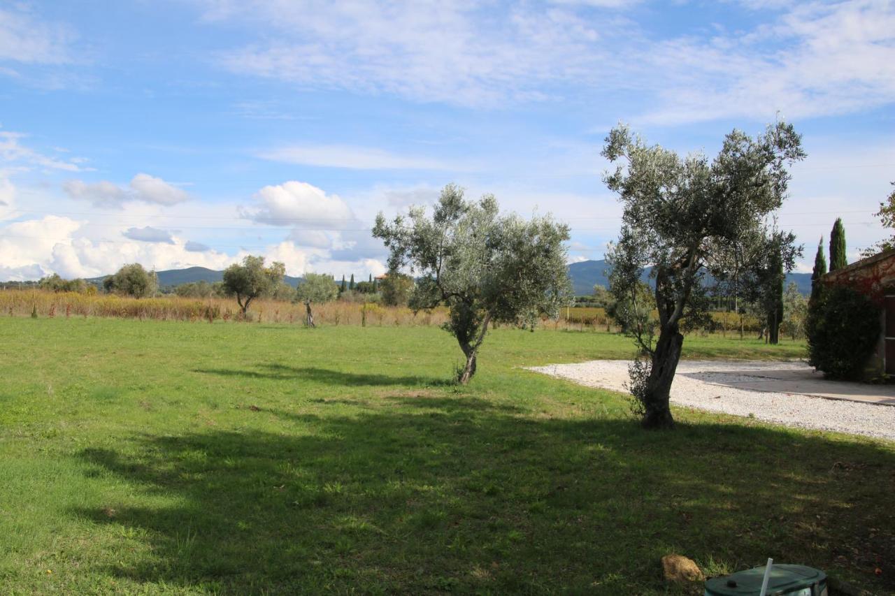 Podere Campo alle Serpi Bibbona Eksteriør bilde