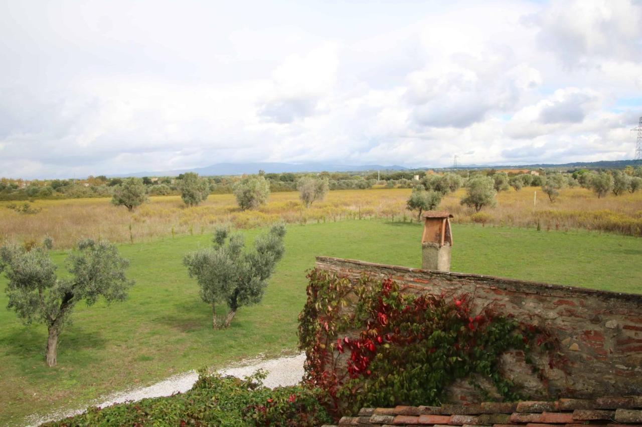 Podere Campo alle Serpi Bibbona Eksteriør bilde