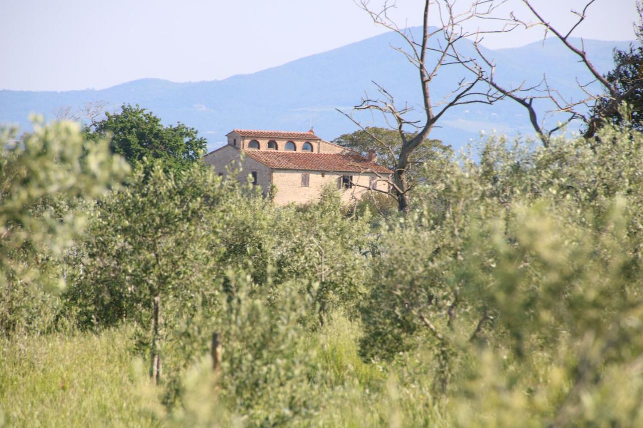 Podere Campo alle Serpi Bibbona Eksteriør bilde