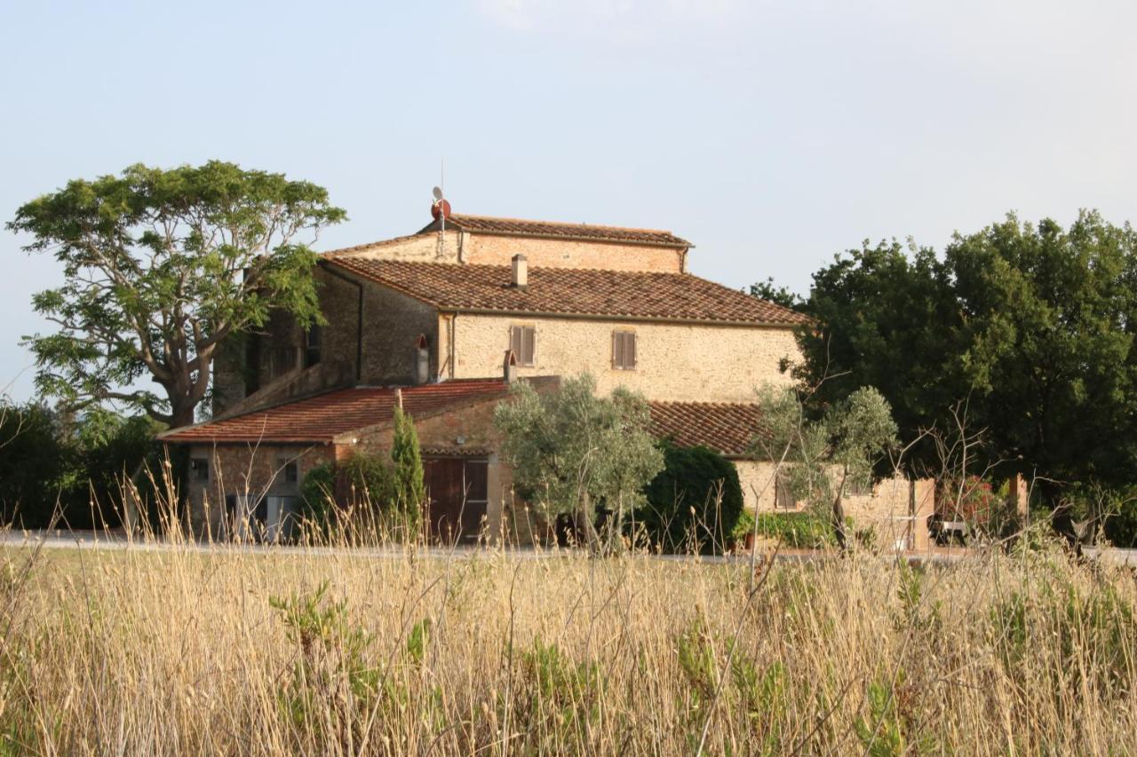 Podere Campo alle Serpi Bibbona Eksteriør bilde