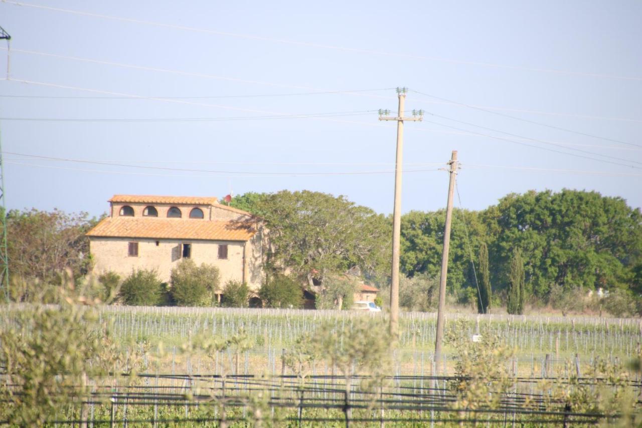 Podere Campo alle Serpi Bibbona Eksteriør bilde