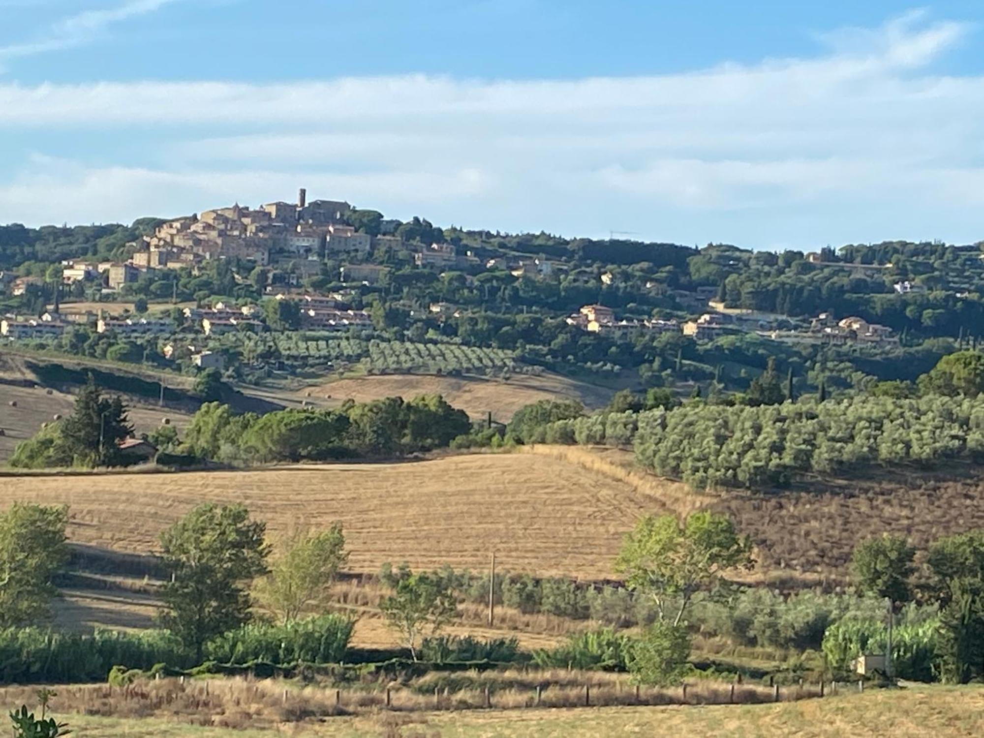 Podere Campo alle Serpi Bibbona Eksteriør bilde