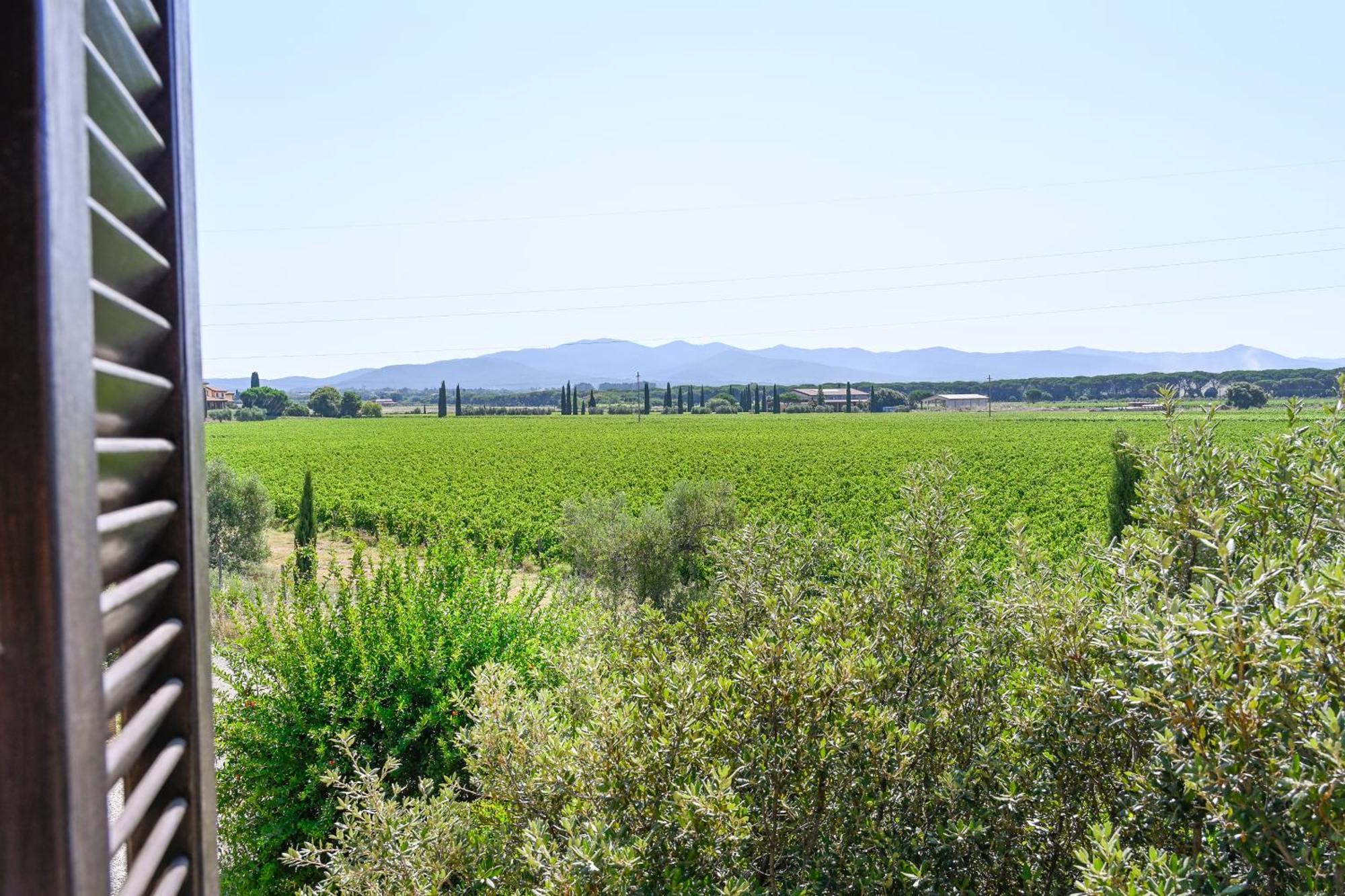 Podere Campo alle Serpi Bibbona Rom bilde