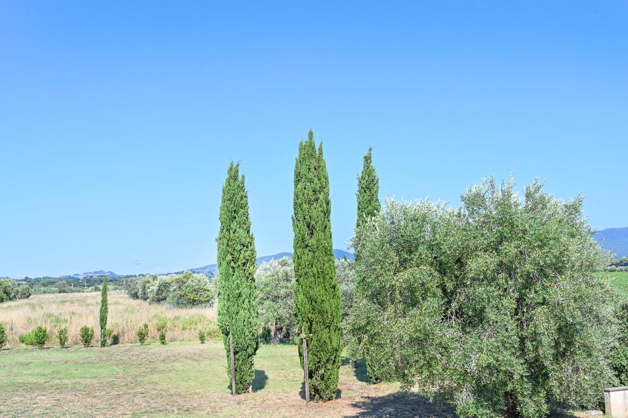 Podere Campo alle Serpi Bibbona Rom bilde