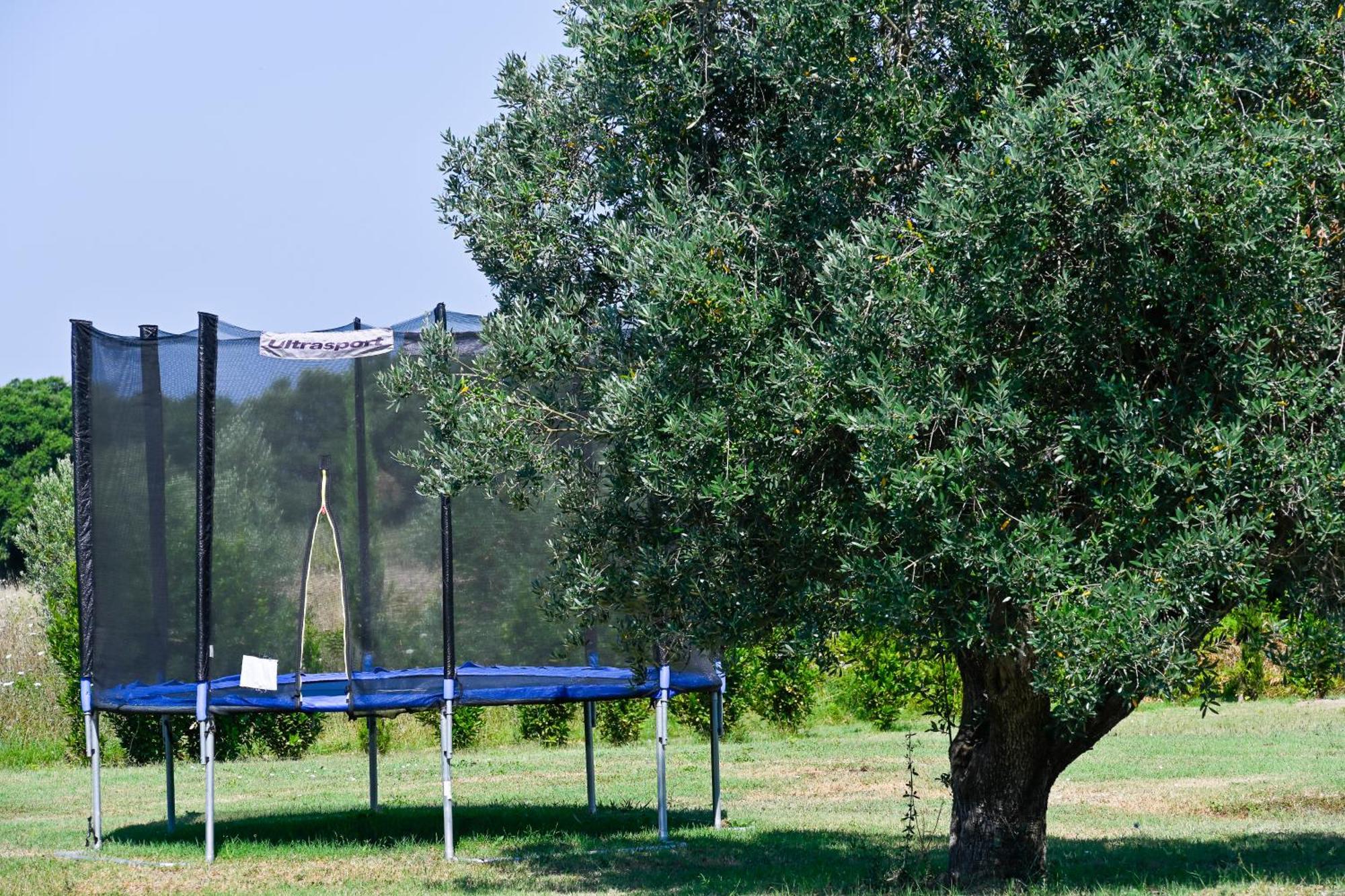 Podere Campo alle Serpi Bibbona Eksteriør bilde