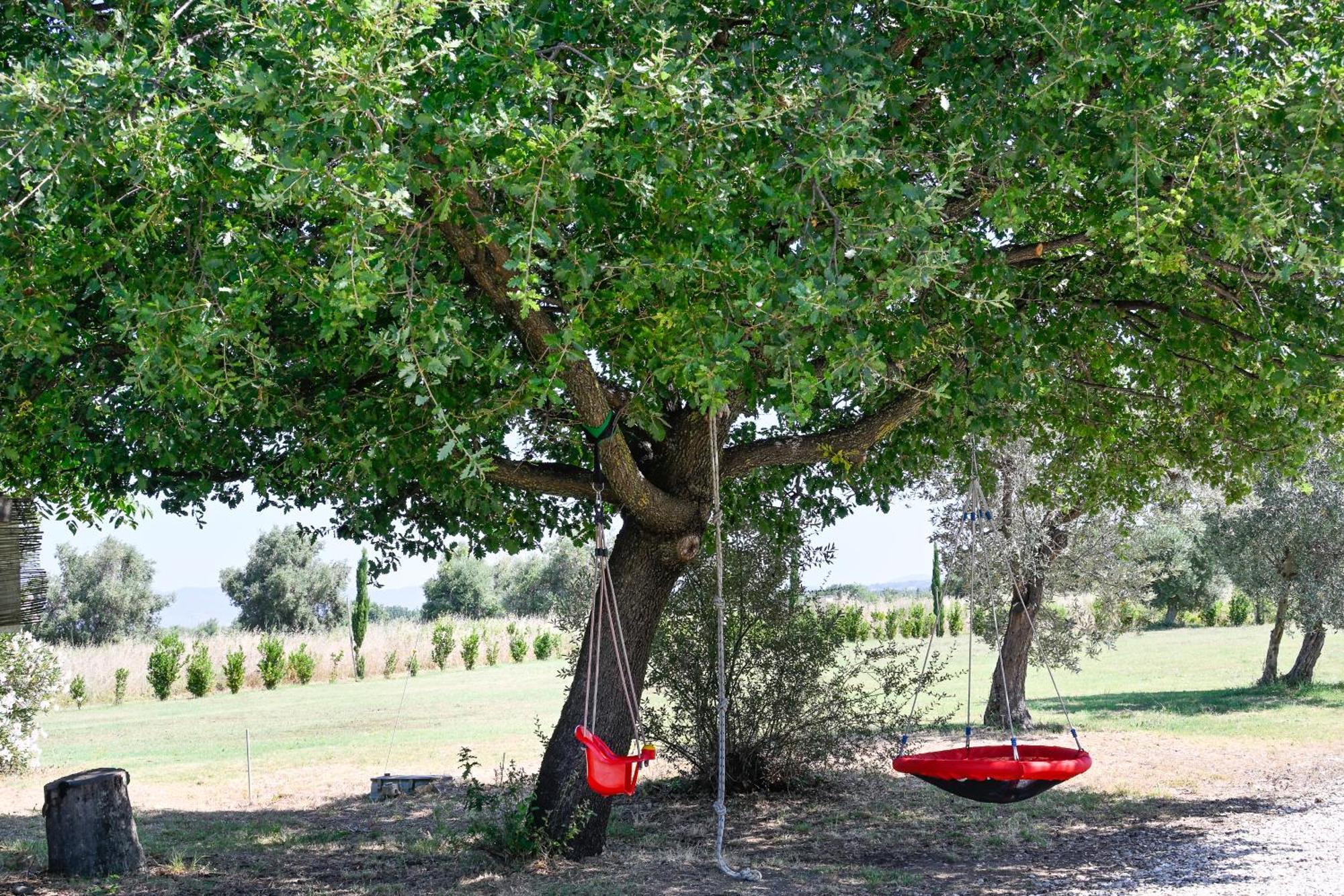 Podere Campo alle Serpi Bibbona Eksteriør bilde